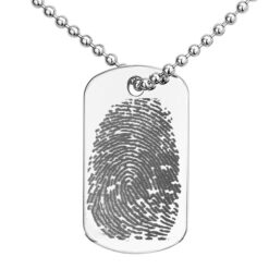 Alternative view of Silver Nameplate with Fingerprint
